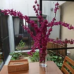 Aoi Guest House
