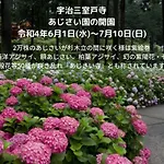 京都のお茶街 Kamon Inn 宇治