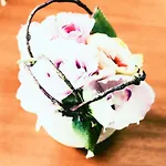 一期一会　伏見稲荷