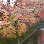 Saizen Matsumuro Stay