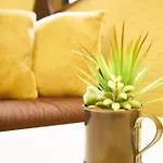 Ruida House