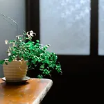 Nanni Saiin Machiya