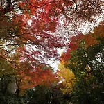 Suminagi Shinpontocho
