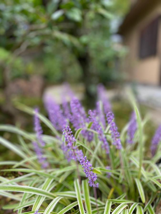Genhouin Ryokan