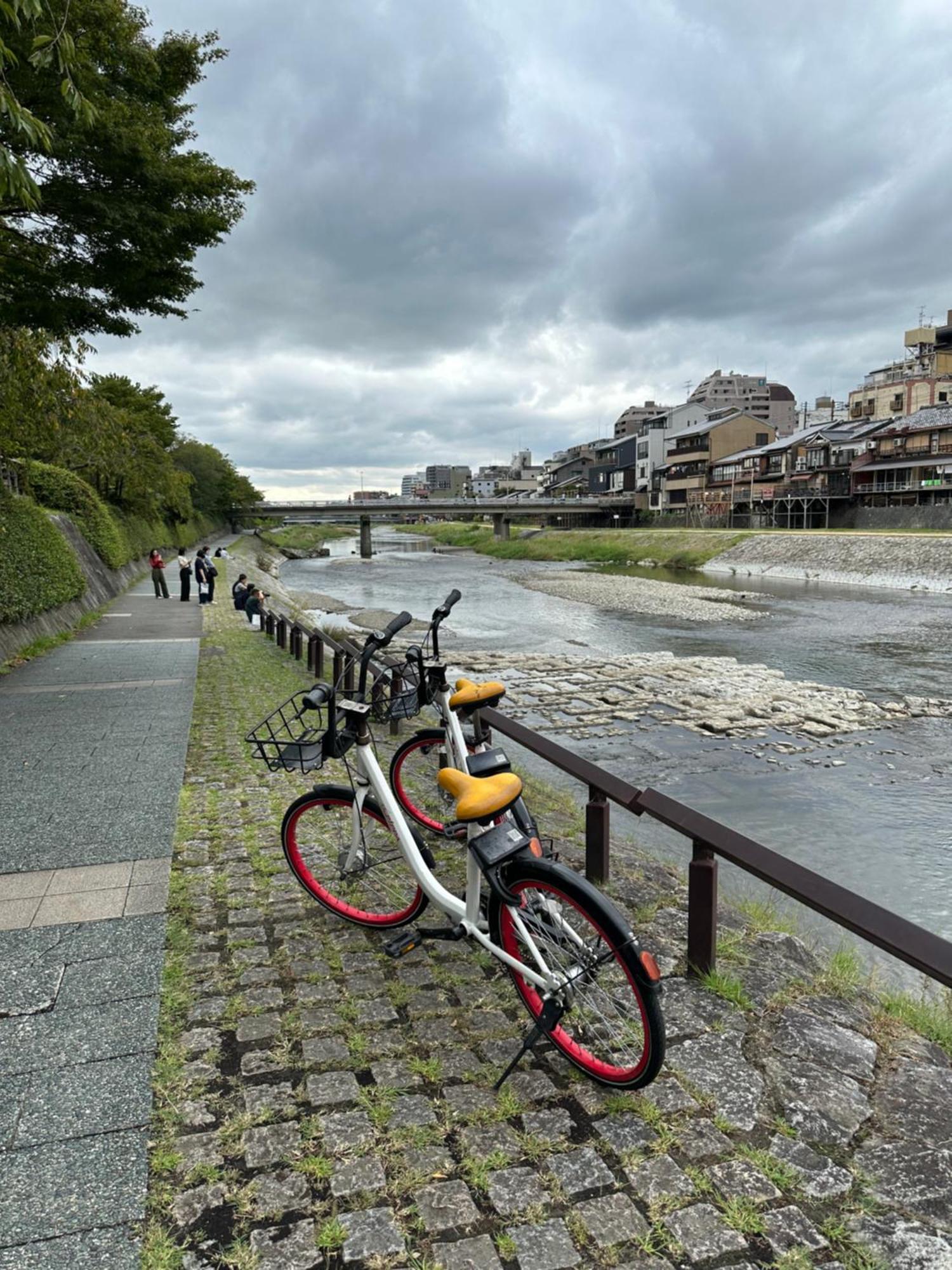 桜の宿 高田 Provide Four Free Bicycle Holiday home *