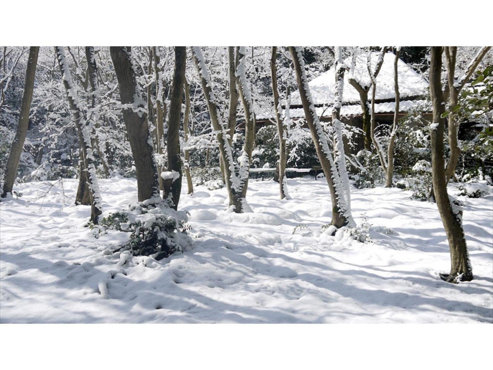 Hotel River Side Arashiyama - Vacation 86248v Kyoto