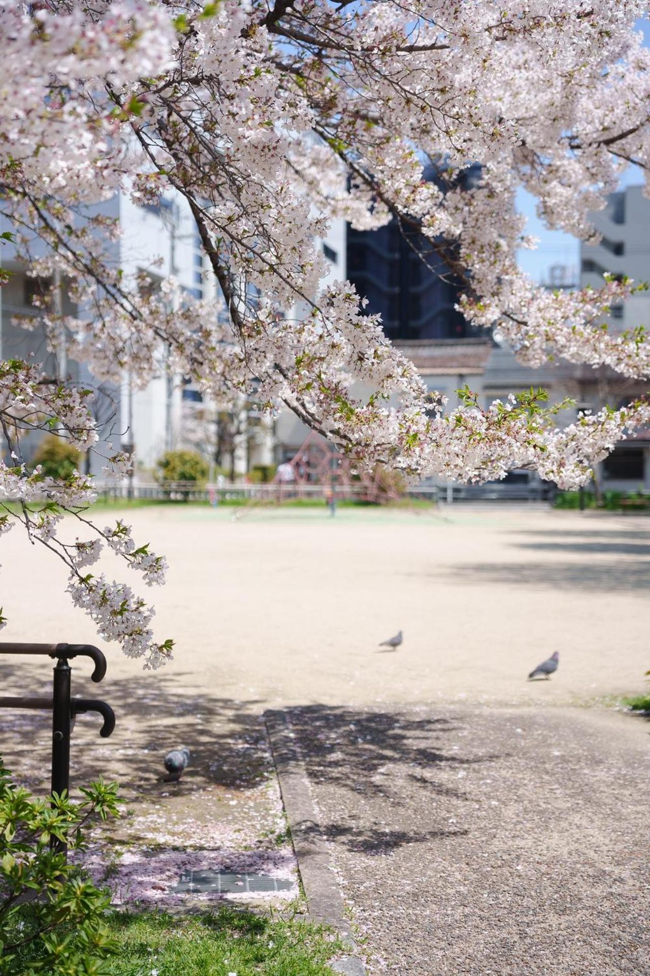 Konayuki Machiya 粉雪の宿 5min Walk From St