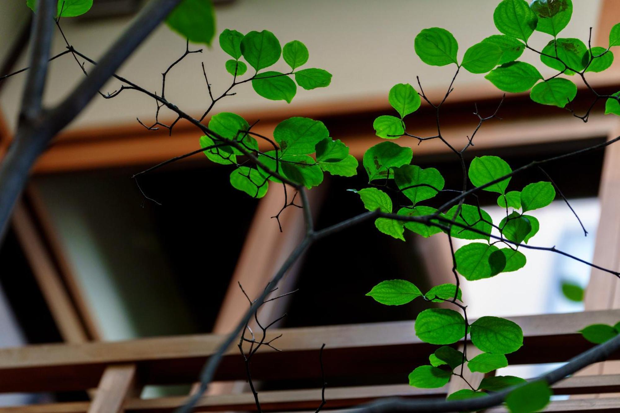 Holiday home Hotori *