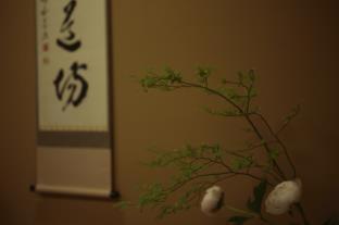 Ryokan Genhouin Kyoto