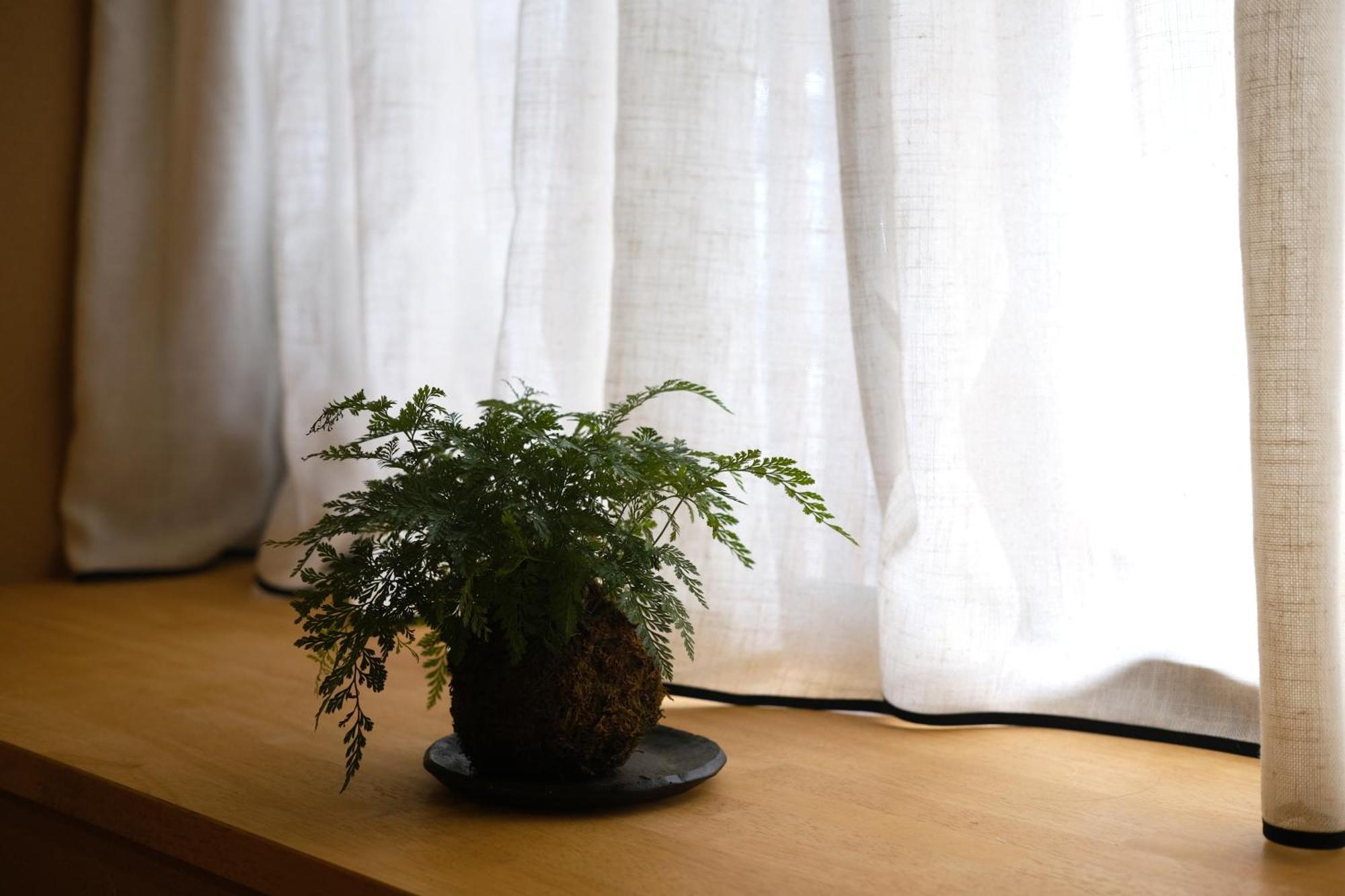 Sloom Reclusive Kyo-machiya In Higashiyama Holiday home Kyoto