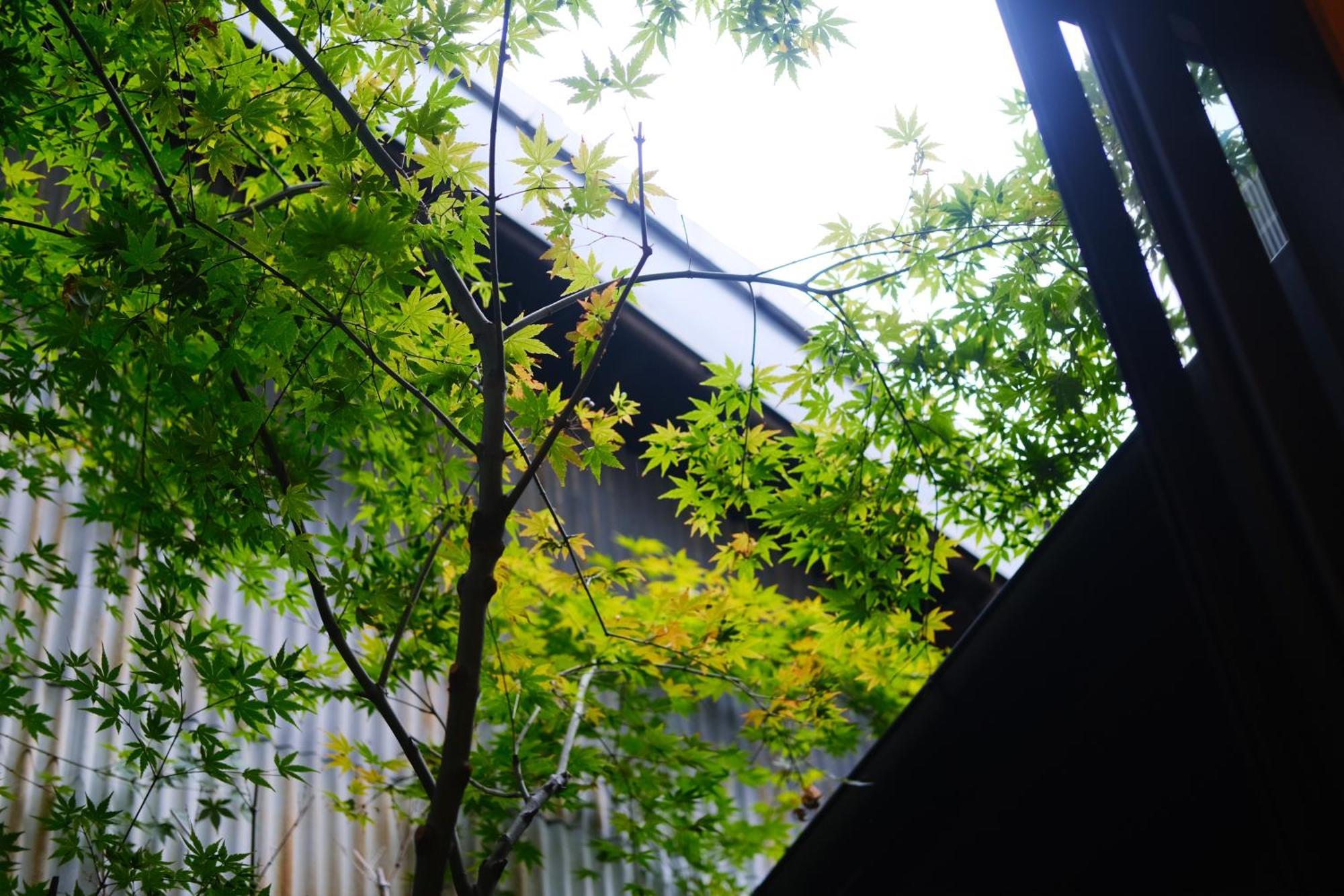 Sloom Reclusive Kyo-machiya In Higashiyama Kyoto