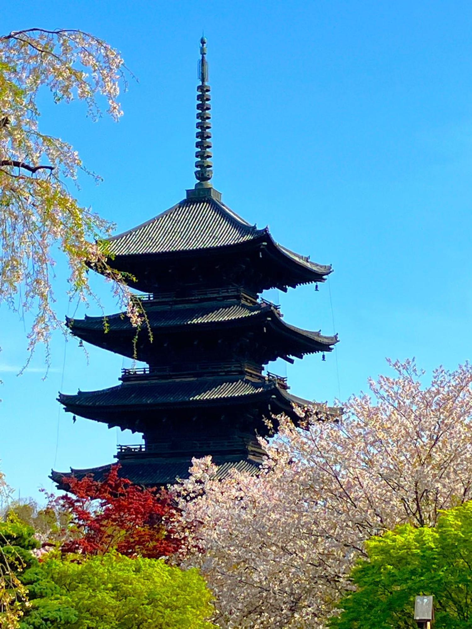 Hotel Premium Toji Kyoto