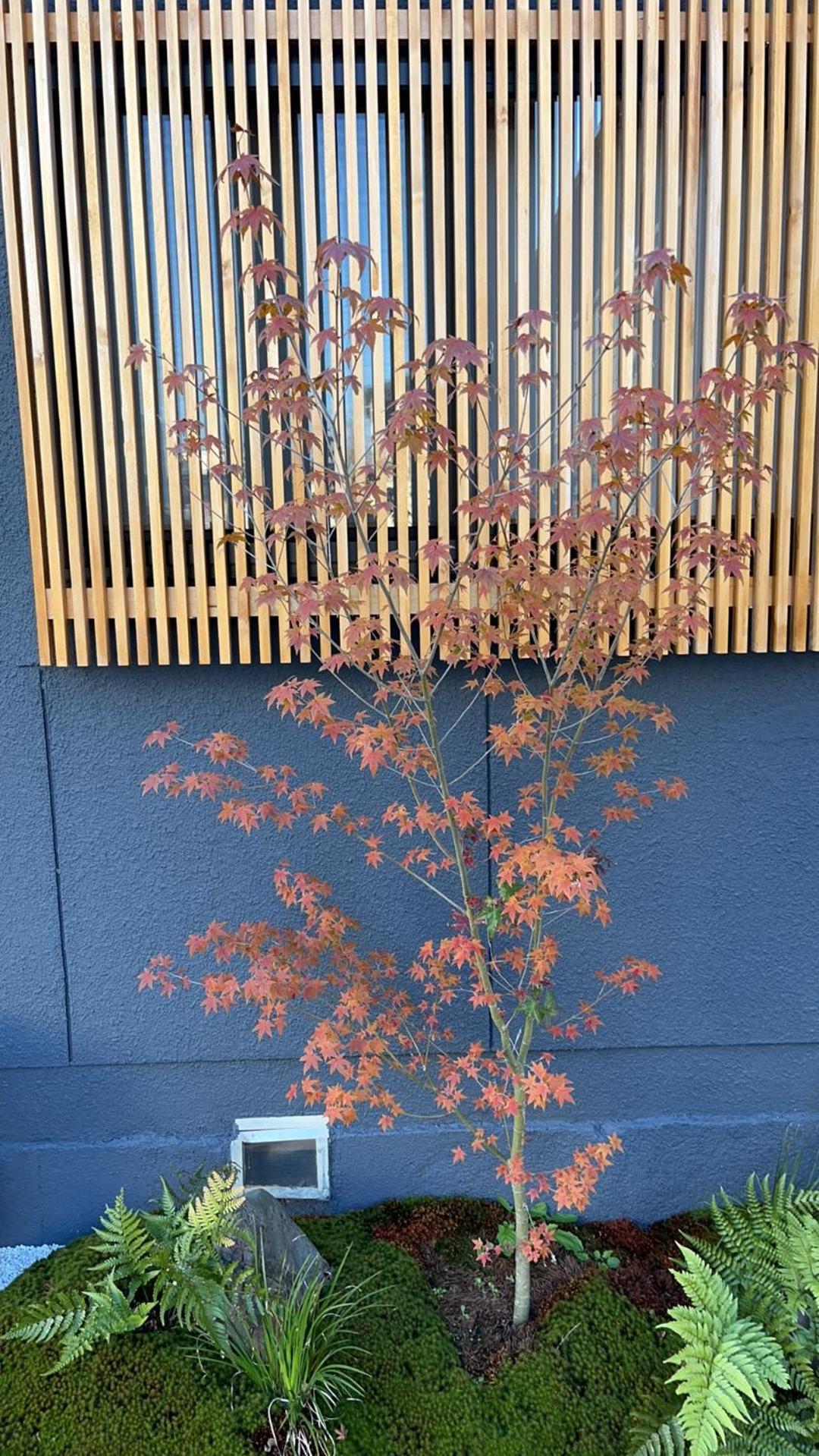 静雅の宿 Kyoto