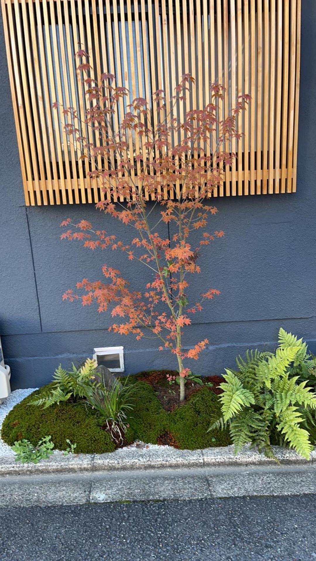 静雅の宿 Villa Kyoto