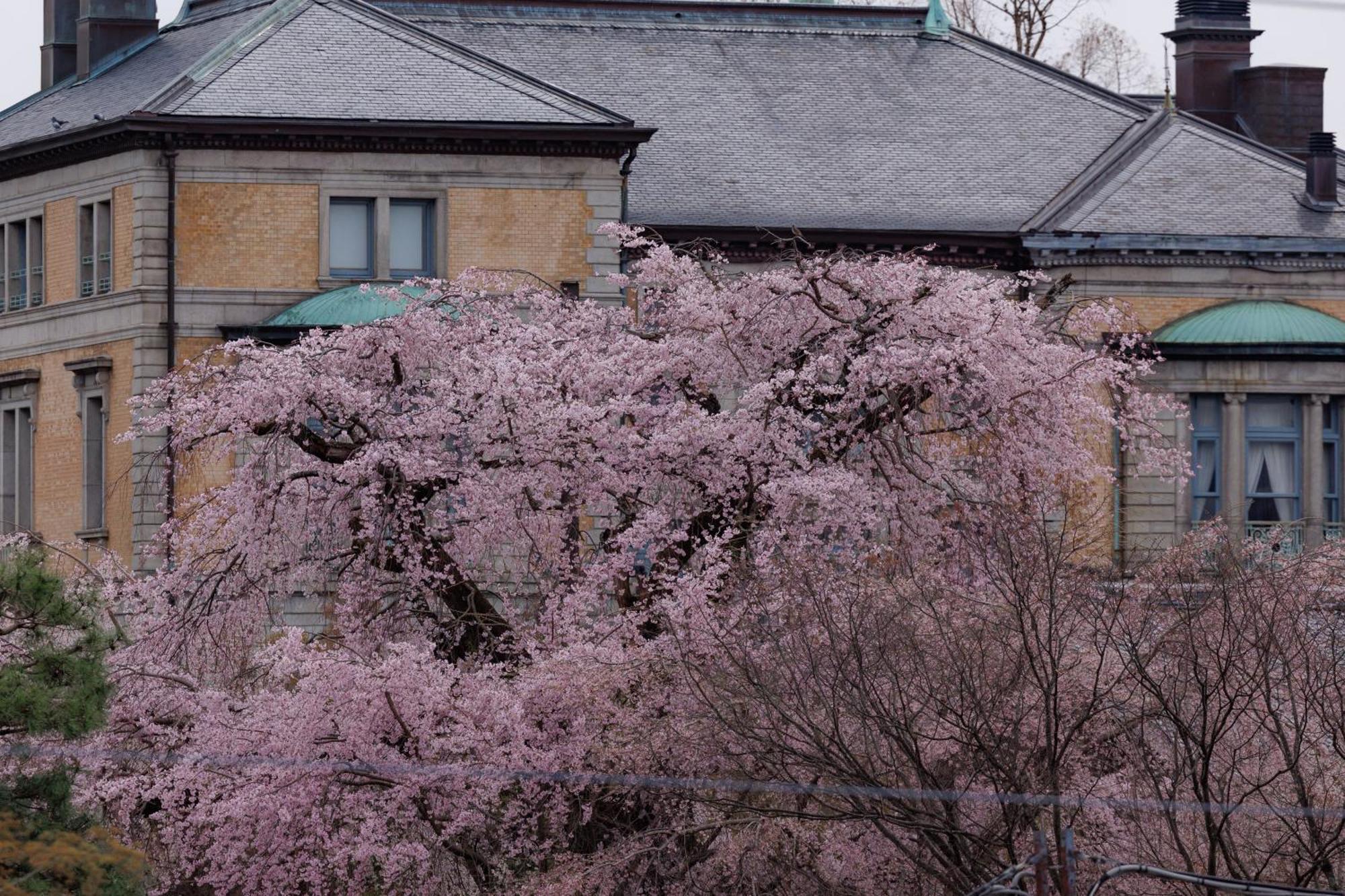 Chourakukan Gion 長楽館 Hotel