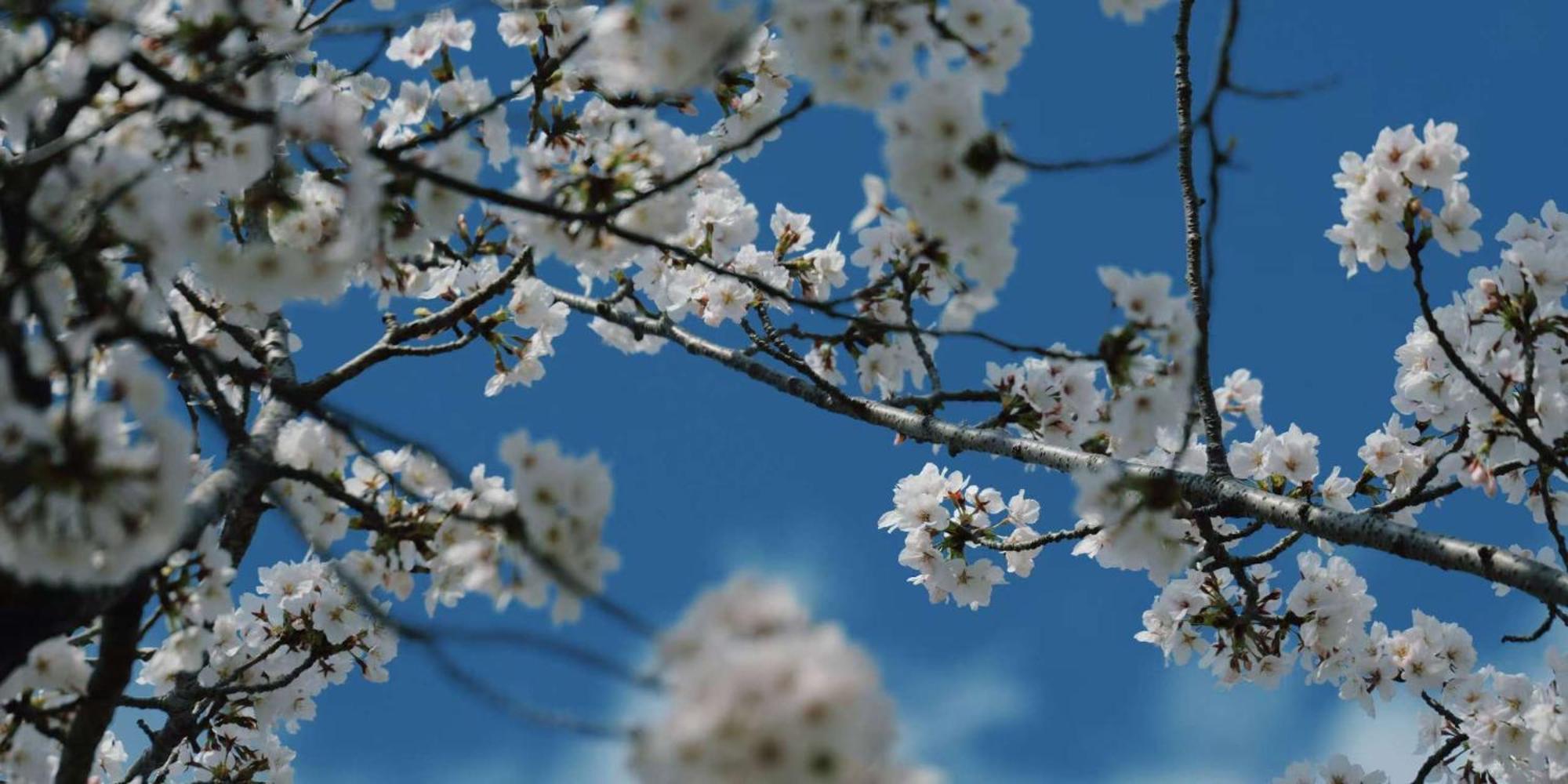 五条堀川 星空的宿 Holiday home Kyoto