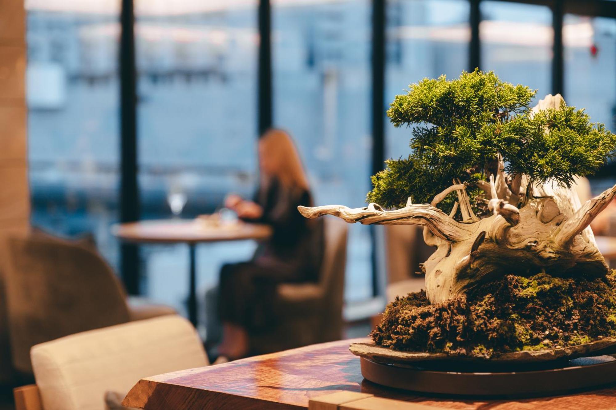 Doubletree By Hilton Station Kyoto