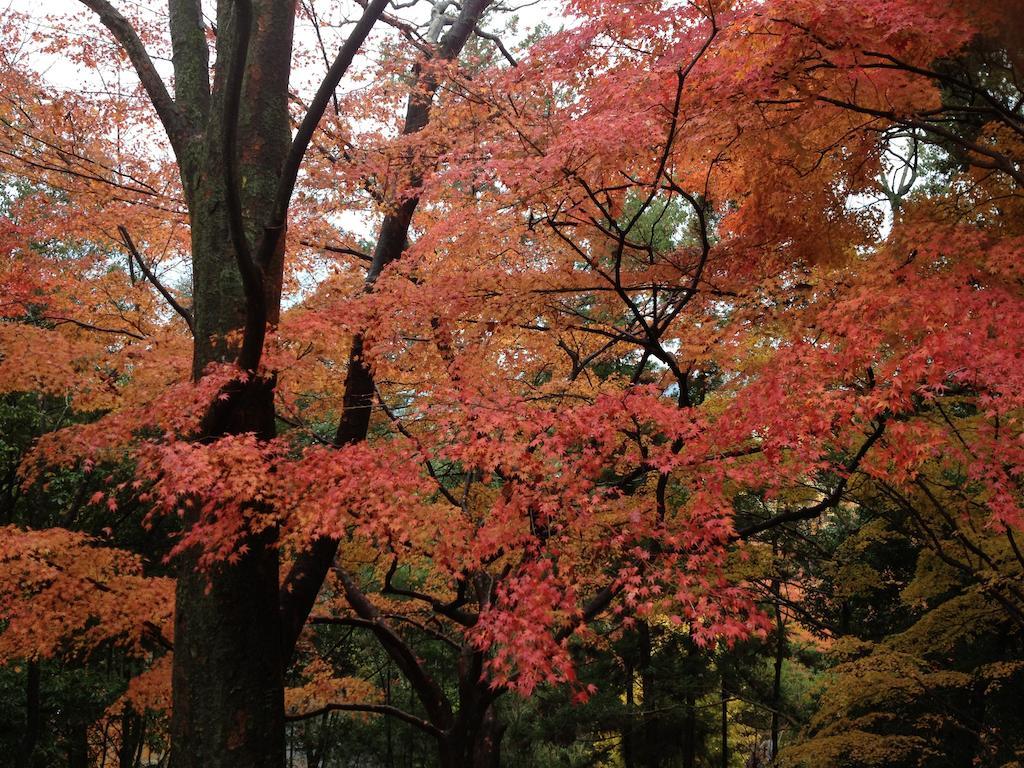 Gion Morisyo 3* Kyoto