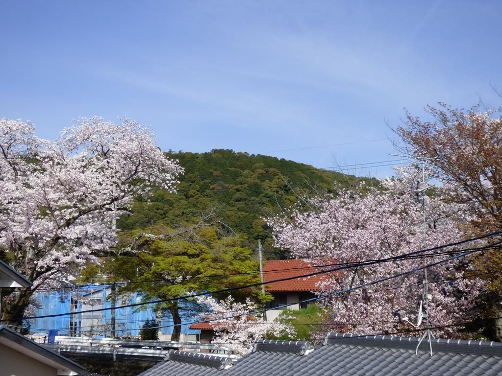 Saizen Matsumuro Kyoto