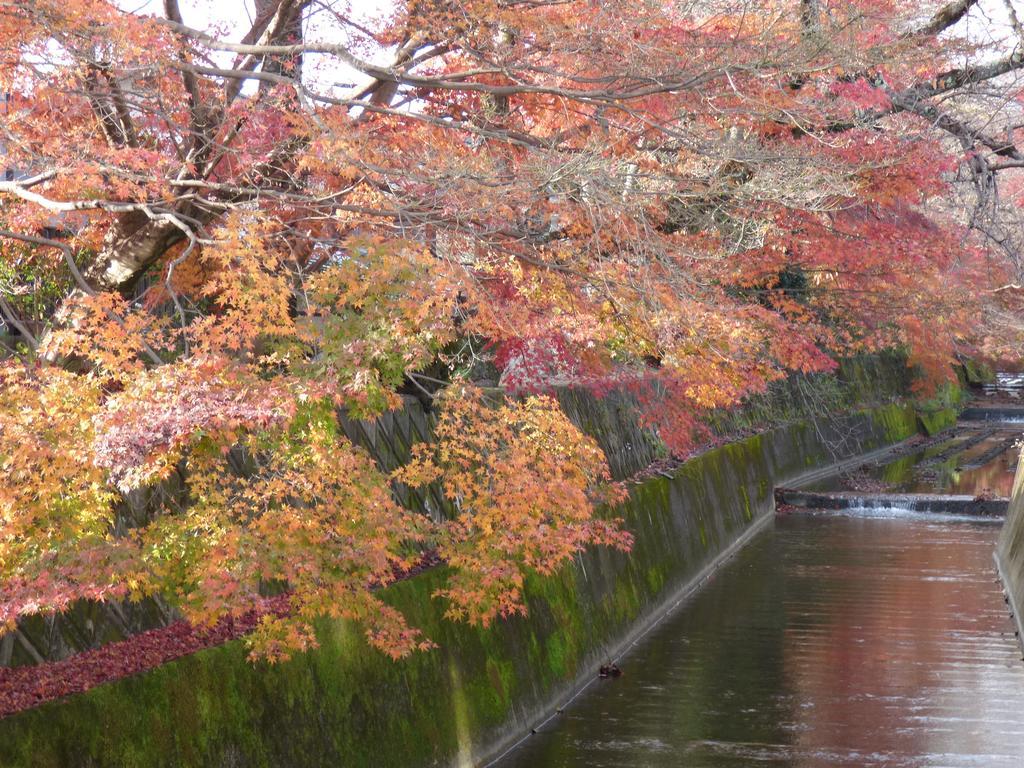 Saizen Matsumuro *