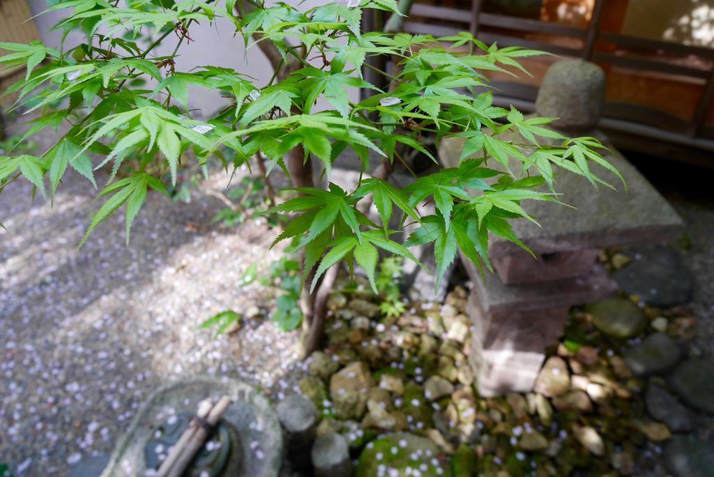 100 Years Old Traditional Machiya Townhouse - K's Holiday home *