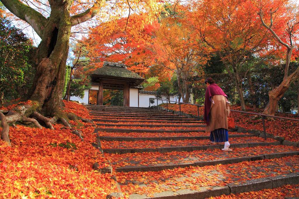 Royal & 4* Kyoto