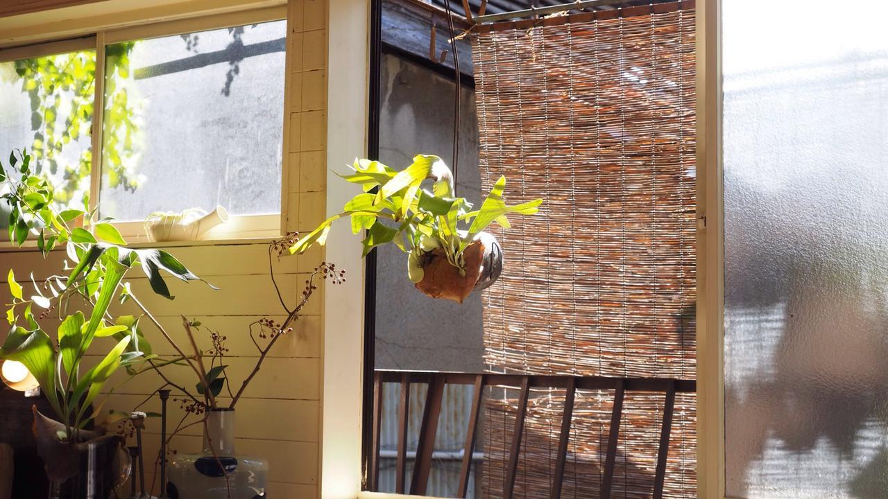 Guest house Corsage 2*