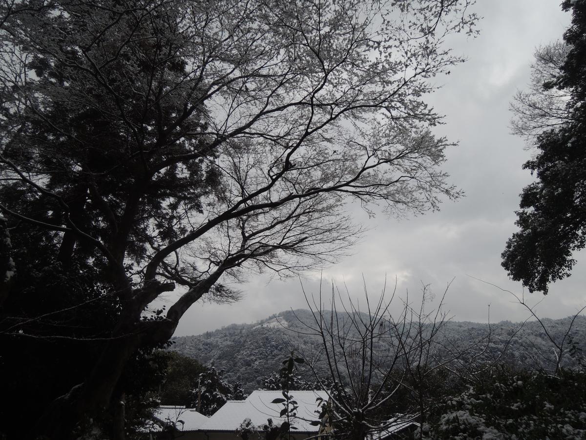 Ryokan Yoshida-sanso Kyoto