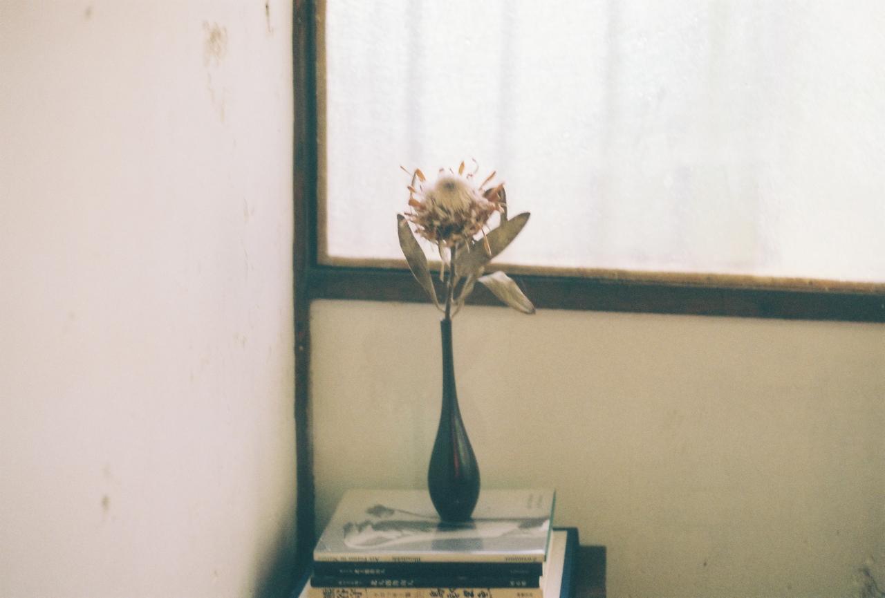 Guest house Corsage 2*