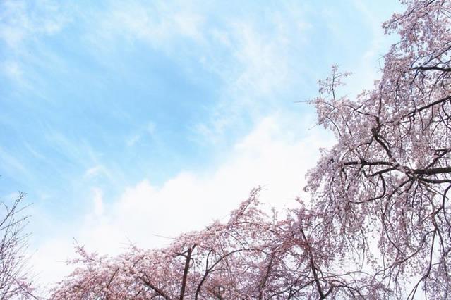 Guest house Heian House *