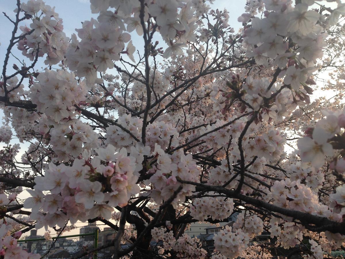 Guest house Heian House Kyoto