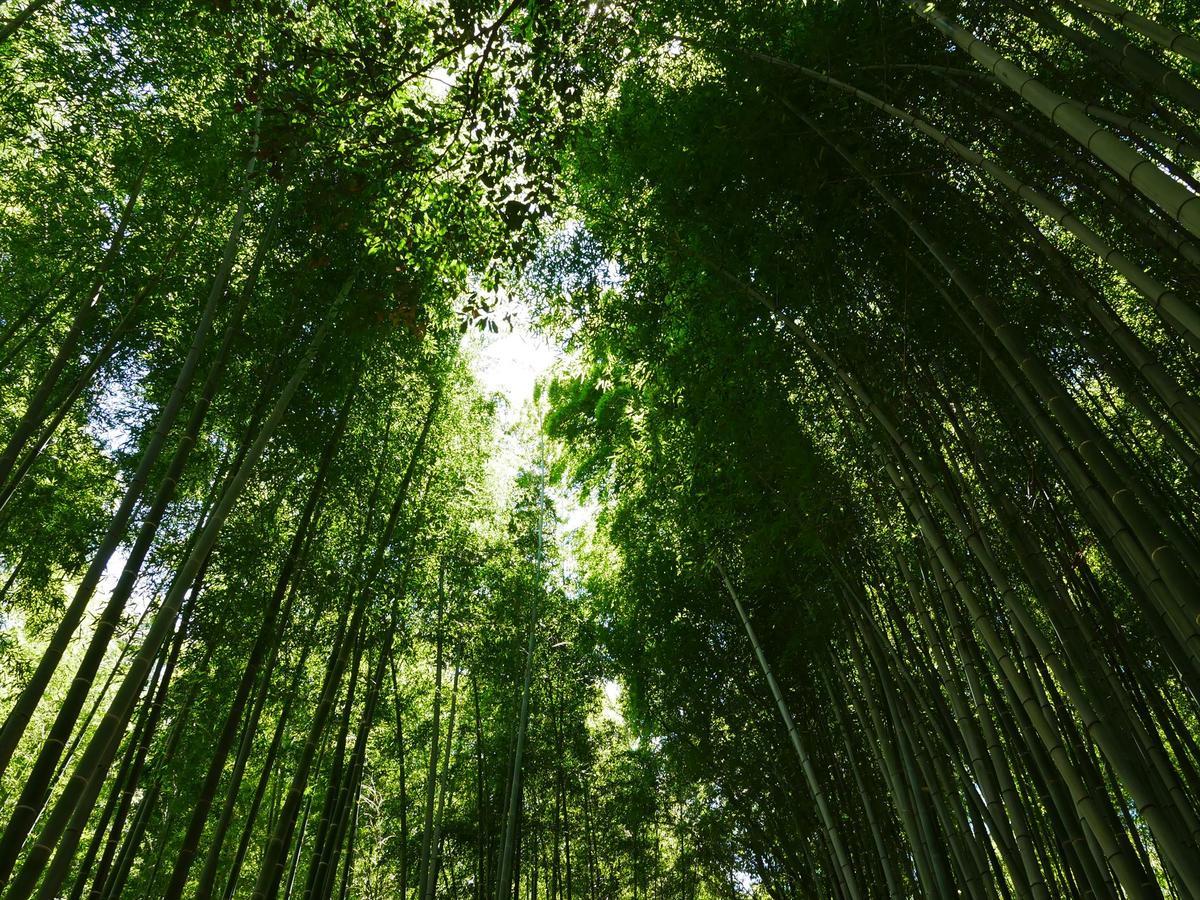 Coto Shijoomiya 2 Holiday home Kyoto