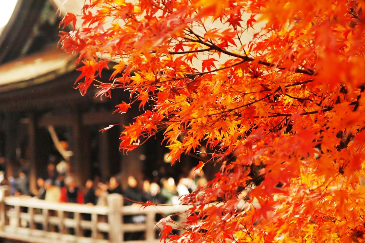 Kotonoya Holiday home *