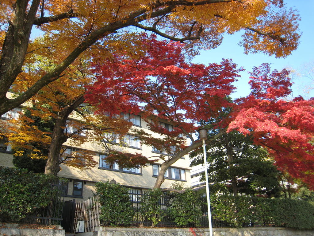 Kkr Kuniso 3* Kyoto