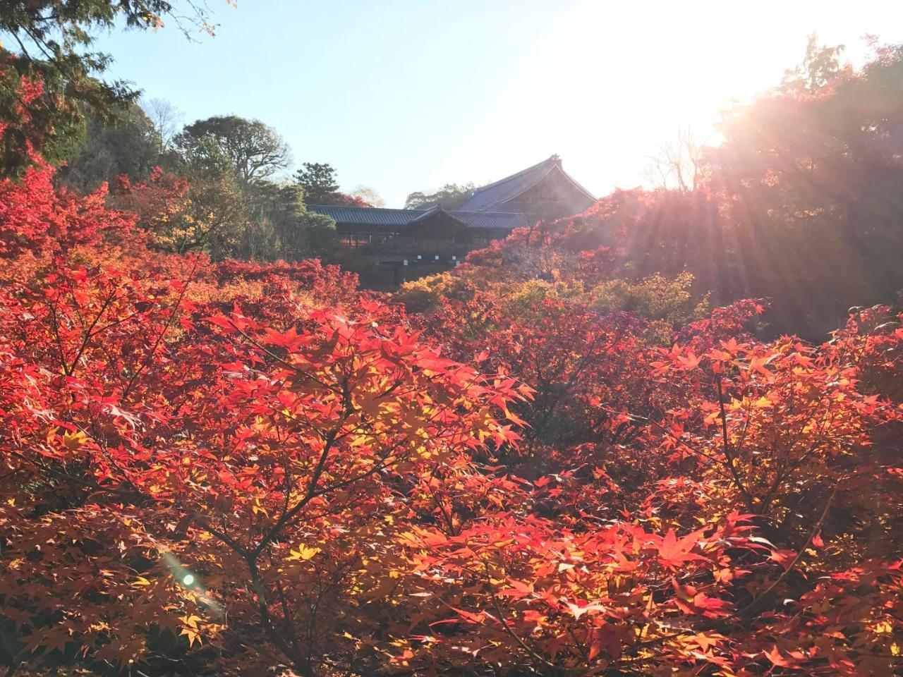 Holiday home Nagomian Hachijotei 和庵