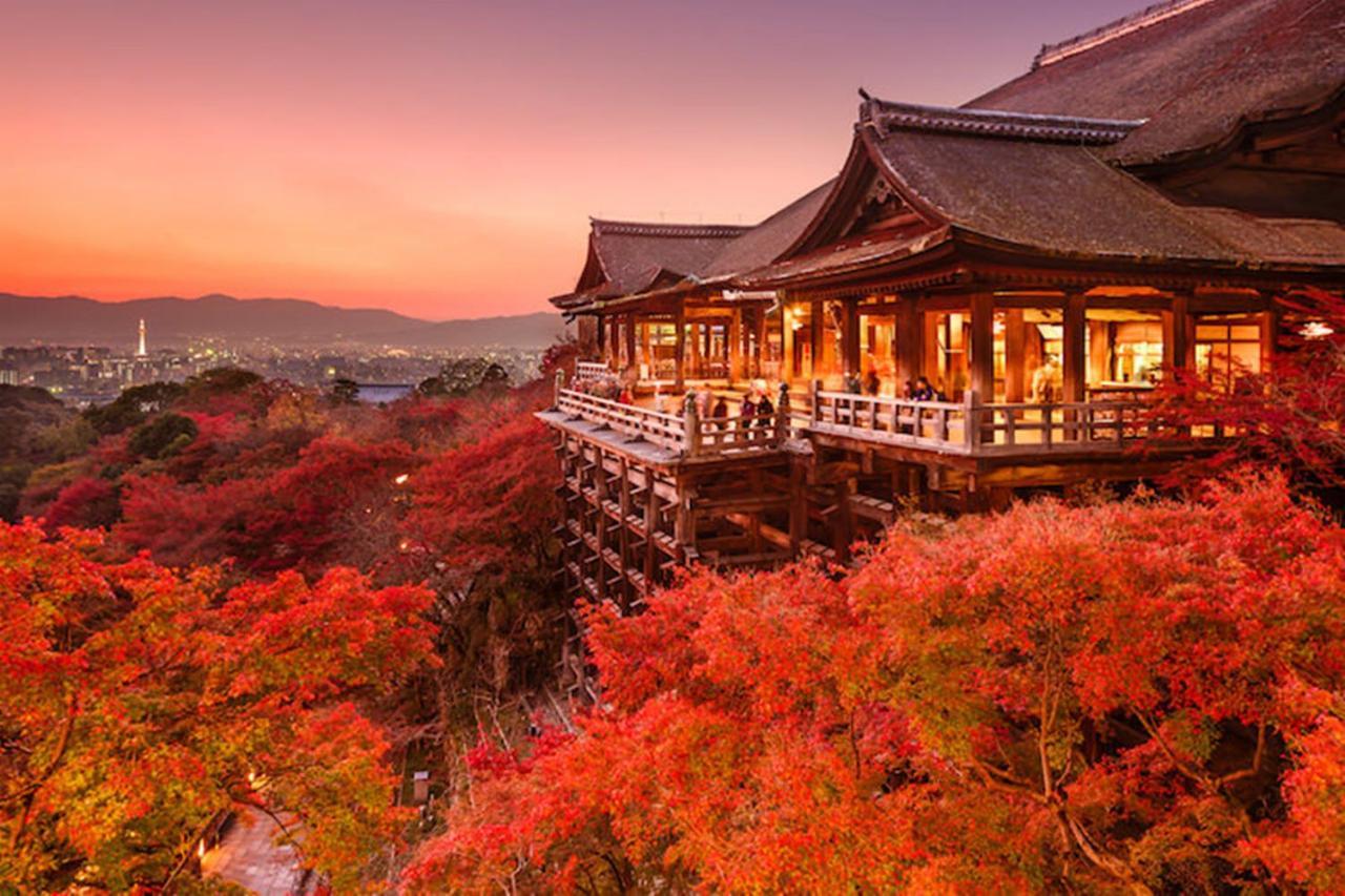 Miyabi Guest house *