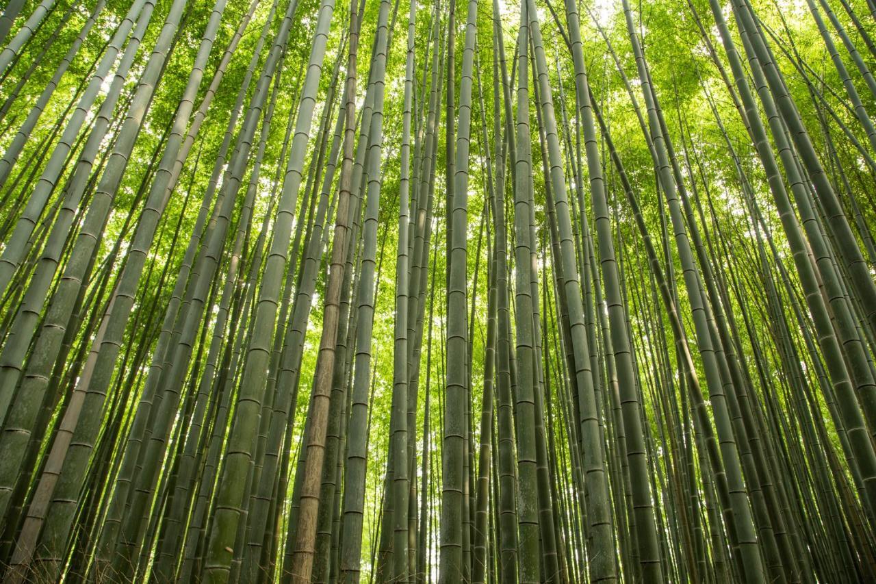 Mulan Kyoto