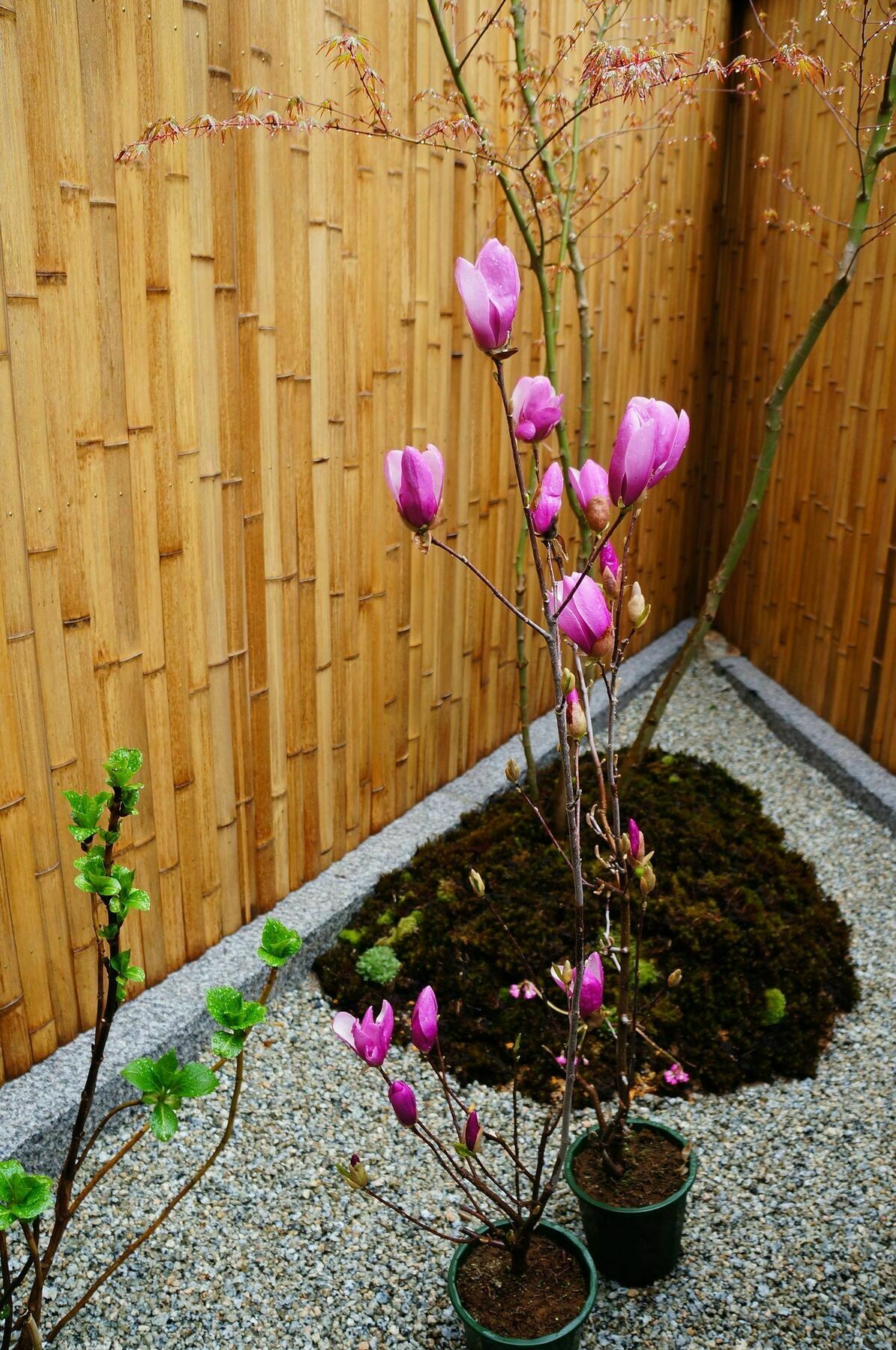 Holiday home Mulan Kyoto