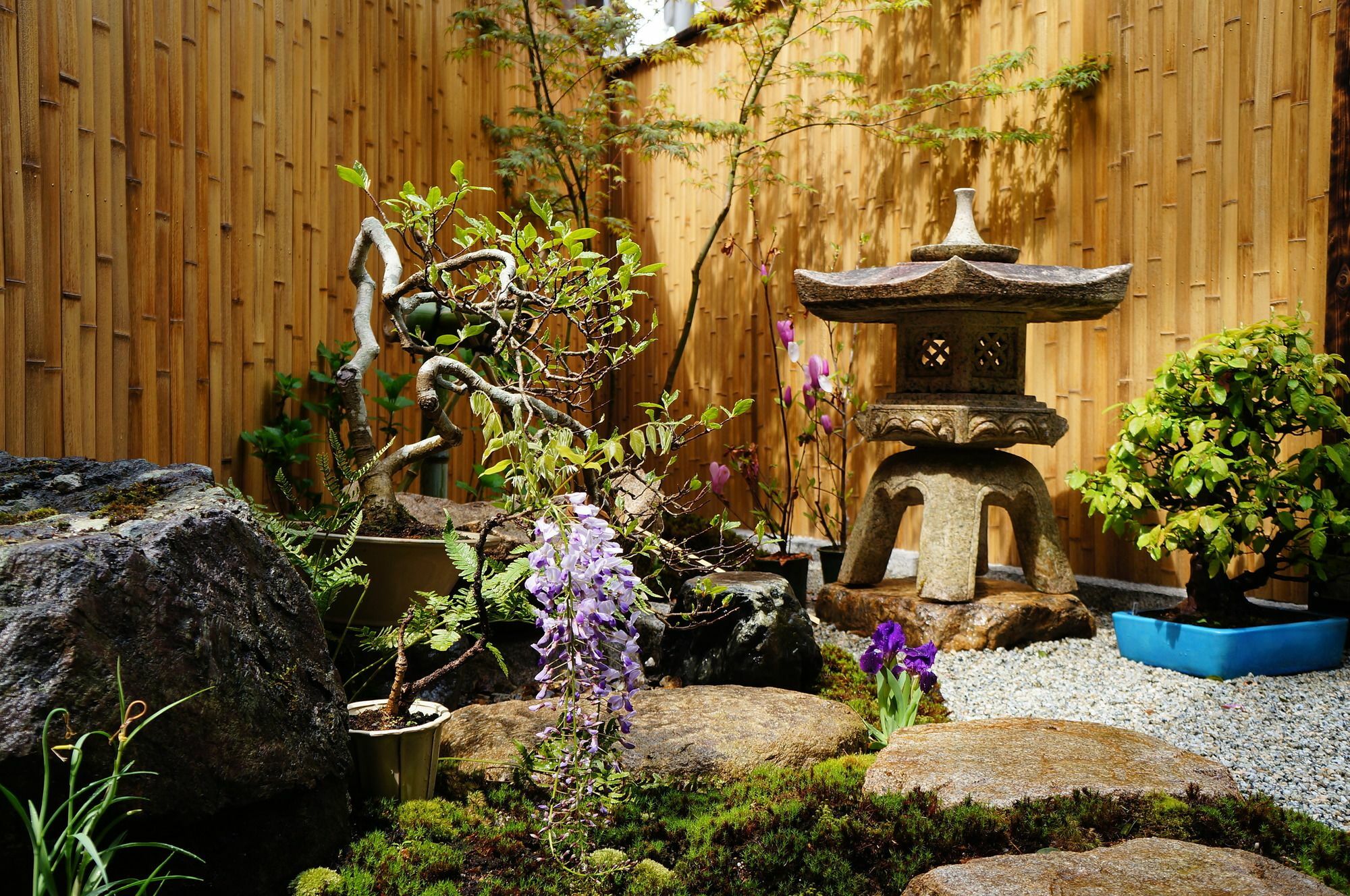 Mulan Kyoto
