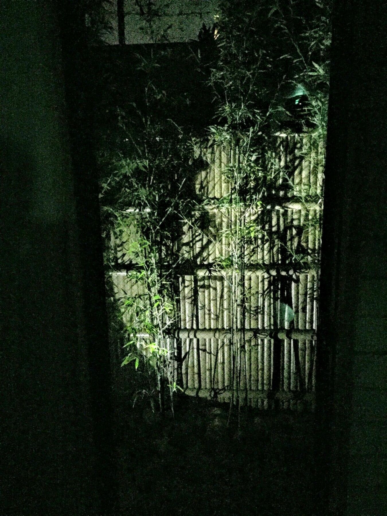 Soukeian Kyoto