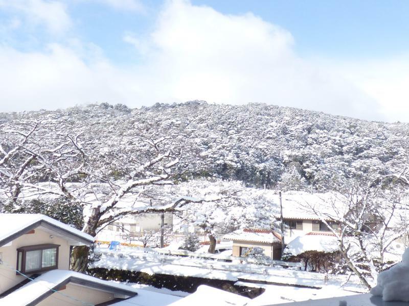 Saizen Matsumuro *