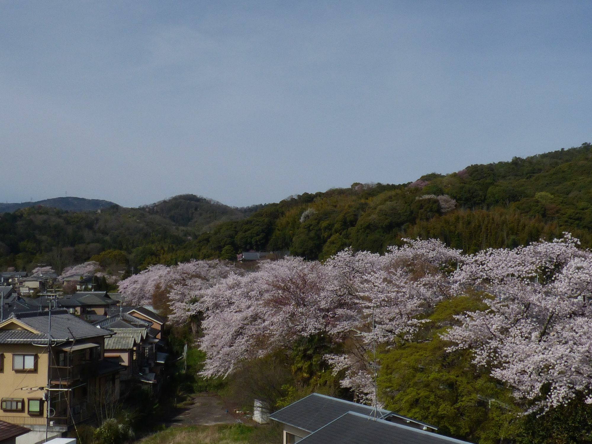 Saizen Matsumuro Apartment *