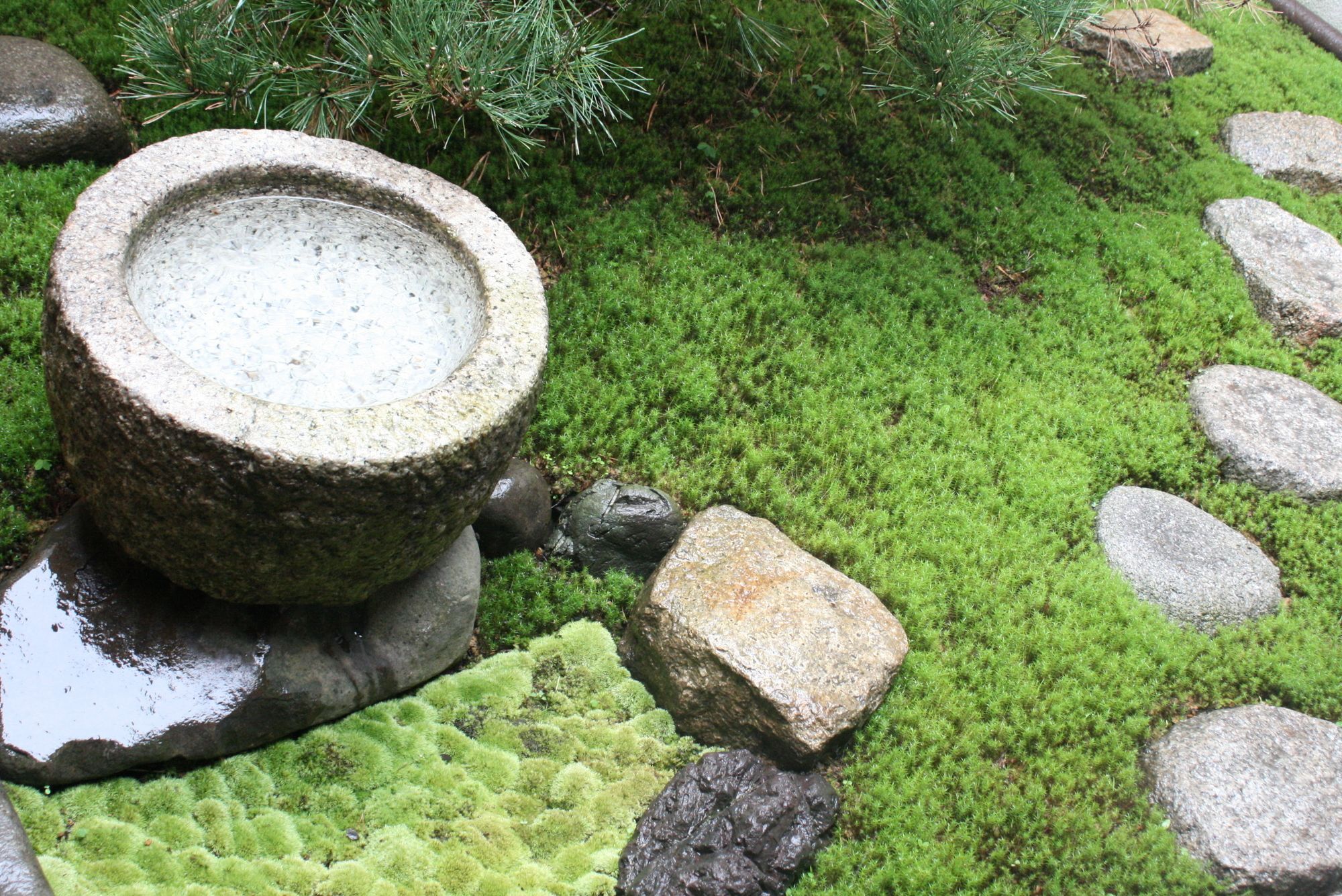 Haruya Umekoji
