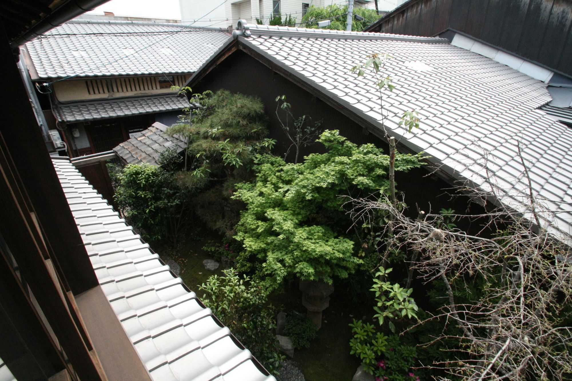 Haruya Umekoji * Kyoto