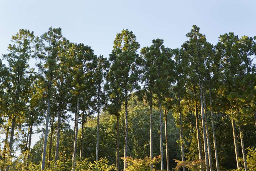 Aman Hotel Kyoto