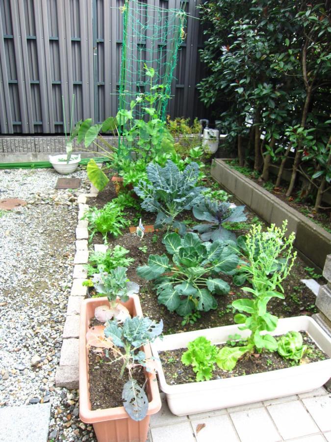 Kyo-no-sato 京の里 Homestay