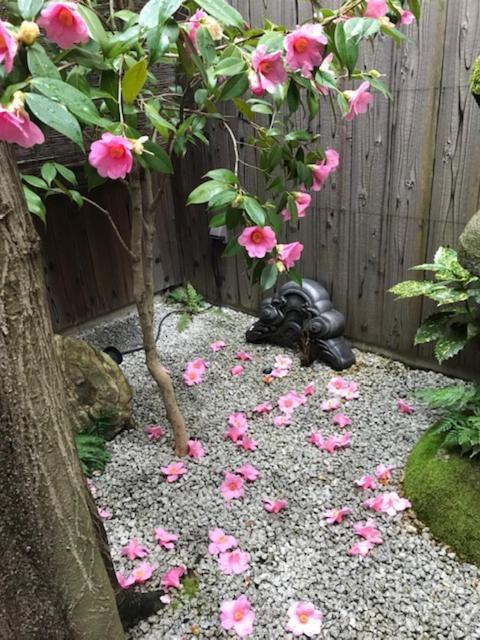 Naokonoza Bettei Fuyacho Holiday home *