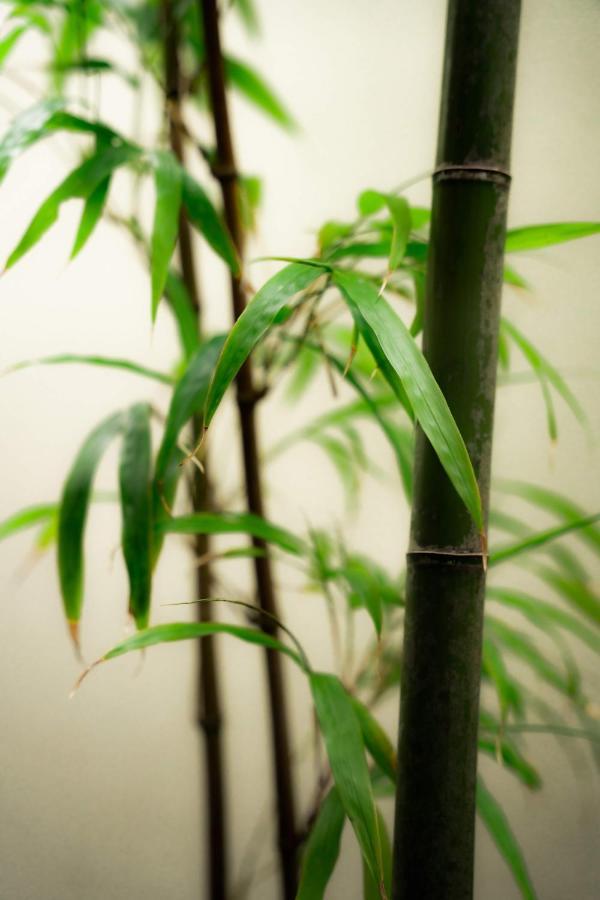 The Junei 4* Kyoto