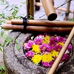 京宿日和 五条 Hiyori Gojo