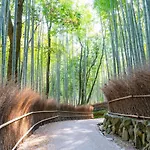 Oyo Kyoto Earth